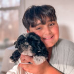 The Shih Tzu: A Little Lion Dog With An Ancient Soul (And Why I Feel So Connected To Them)