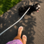 The Supportive Flip Flops That Have Become Part Of My Daily Ritual With Panda